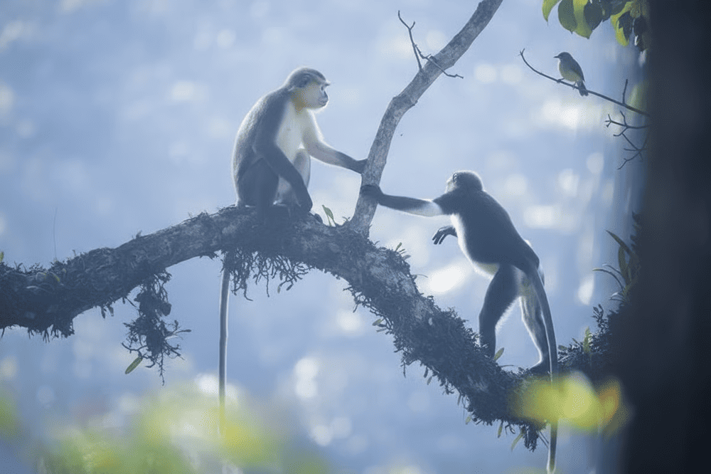 Sustainability is at the heart of tourism development at Thac Ba Lake